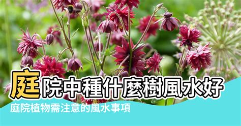 庭院種樹禁忌|【風水學種樹知識】植物風水學知識 